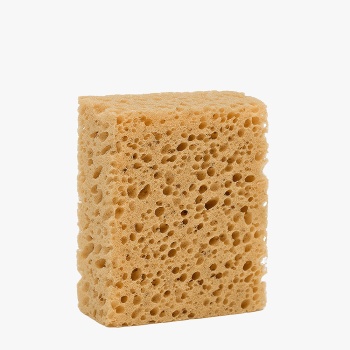 اسفنج کلنیل SPONGE COLLONIL